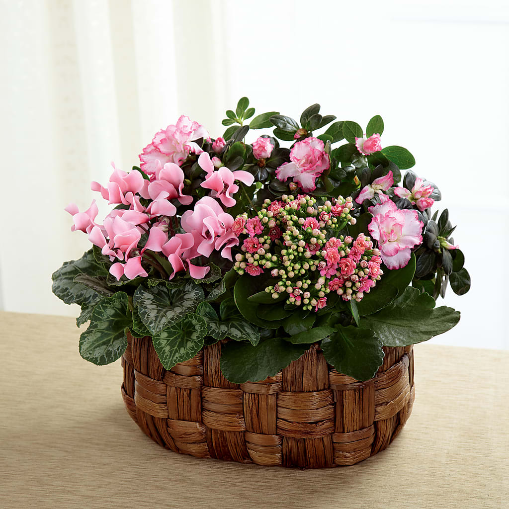 Pink Assortment – FLORAL CREATIONS & GIFTS, Weslaco TX