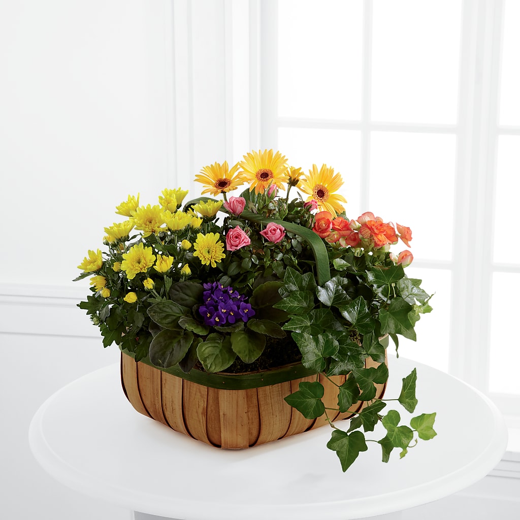 Gentle Blossoms Basket – FLORAL CREATIONS & GIFTS, Weslaco TX