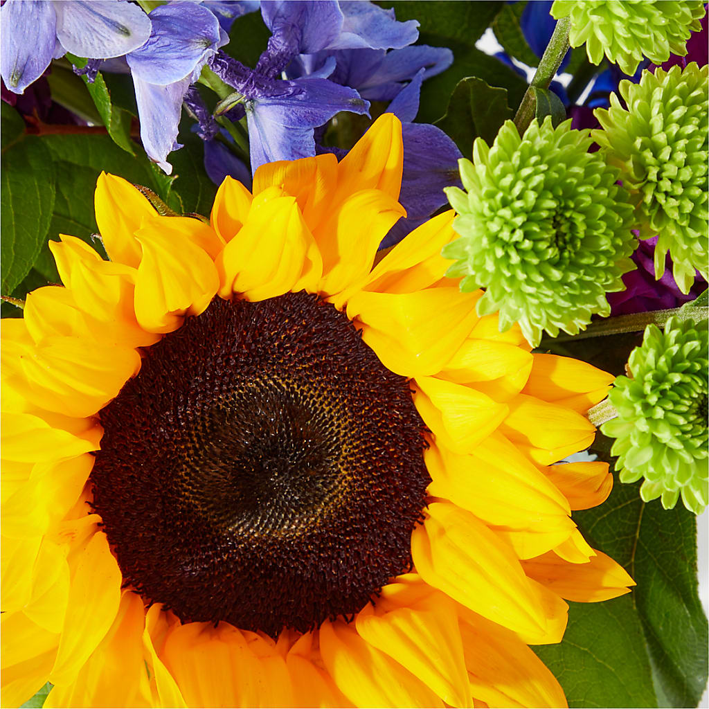 Catching Rays Bouquet – FLORAL CREATIONS & GIFTS, Weslaco TX