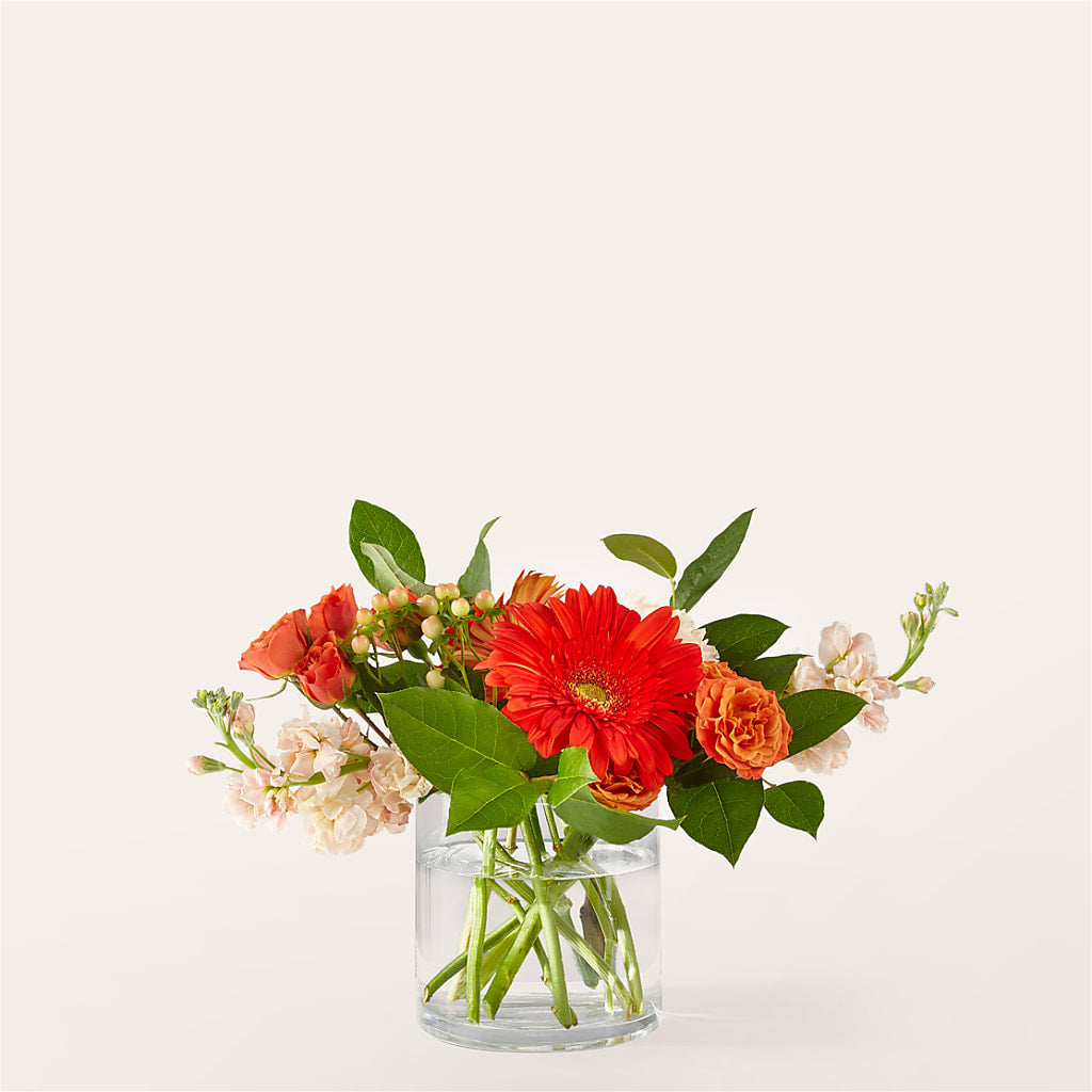 Paloma Please Bouquet – FLORAL CREATIONS & GIFTS, Weslaco TX