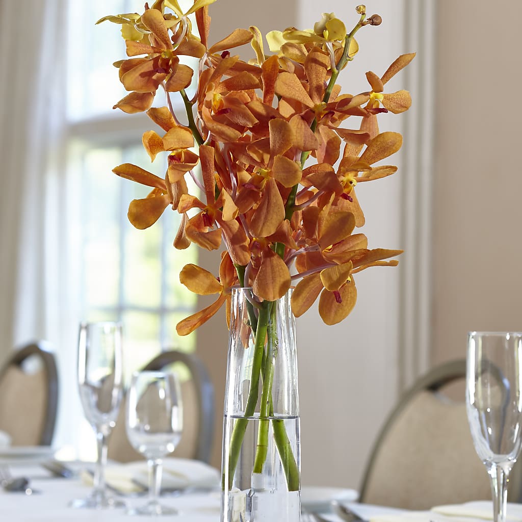 Orange Mokara Bud Vase – FLORAL CREATIONS & GIFTS, Weslaco TX