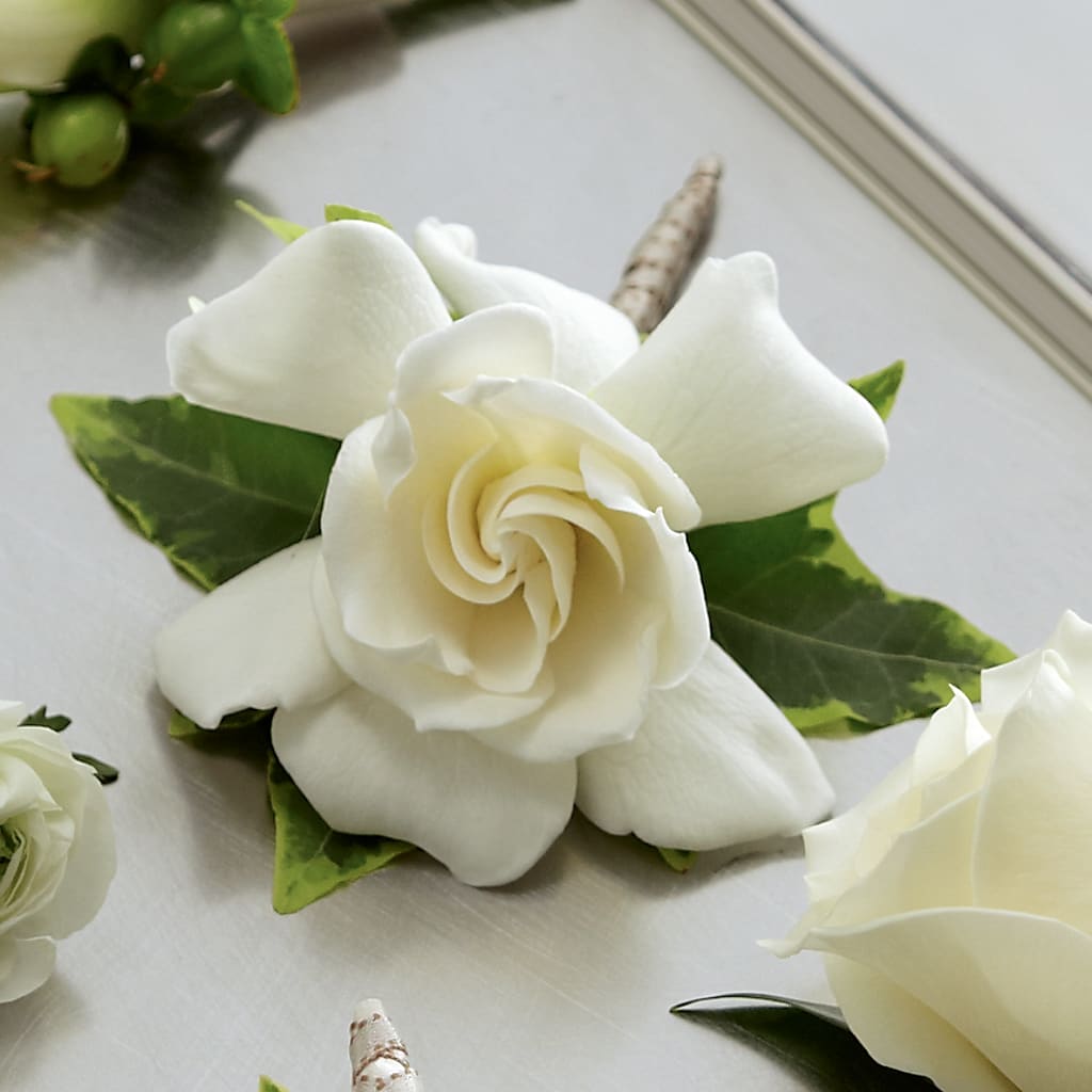 Gardenia Boutonniere – FLORAL CREATIONS & GIFTS, Weslaco TX