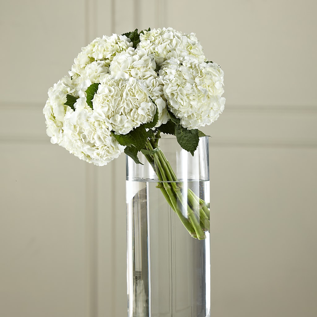 White Hydrangea Hand-Tied Bouquet – FLORAL CREATIONS & GIFTS, Weslaco TX