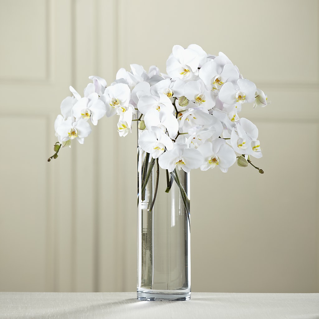White Phalaenopsis Bouquet – FLORAL CREATIONS & GIFTS, Weslaco TX