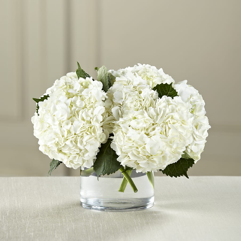 White Hydrangea Bouquet – FLORAL CREATIONS & GIFTS, Weslaco TX