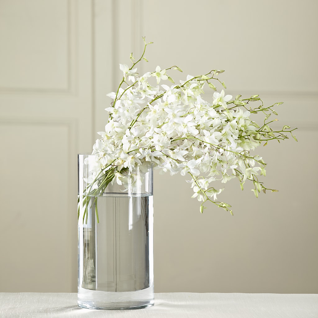 White Dendrobium Bouquet – FLORAL CREATIONS & GIFTS, Weslaco TX