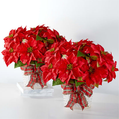 Happiest Holidays Poinsettia Bundle – FLORAL CREATIONS & GIFTS, Weslaco TX