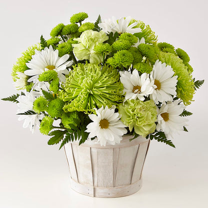Lucky Charm Basket (Standard) – FLORAL CREATIONS & GIFTS, Weslaco TX