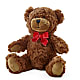 Adorable Plush Bear – FLORAL CREATIONS & GIFTS, Weslaco TX