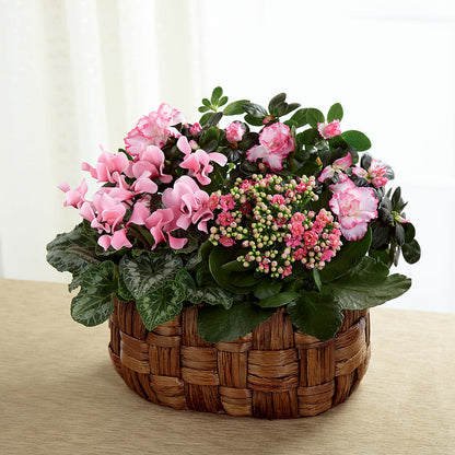 Pink Assortment – FLORAL CREATIONS & GIFTS, Weslaco TX