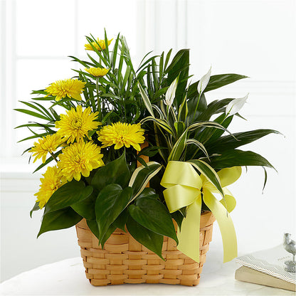 Loving Light Dishgarden – FLORAL CREATIONS & GIFTS, Weslaco TX