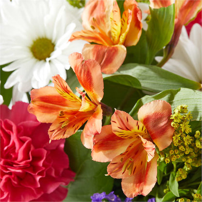 Oopsie Daisy Box Bouquet – FLORAL CREATIONS & GIFTS, Weslaco TX