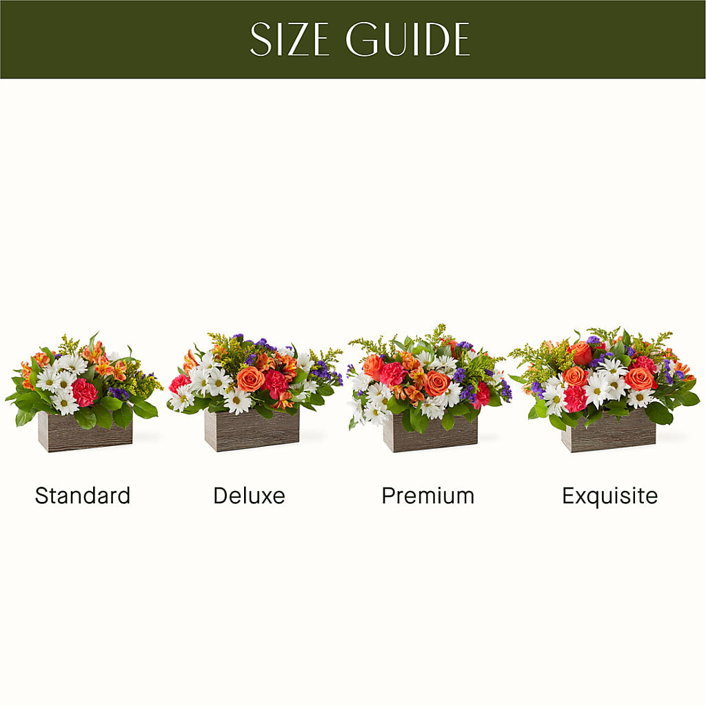 Oopsie Daisy Box Bouquet – FLORAL CREATIONS & GIFTS, Weslaco TX