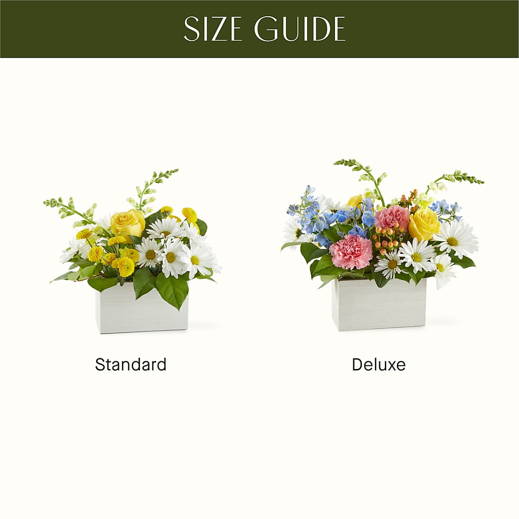 Sun Salutation Box Bouquet – FLORAL CREATIONS & GIFTS, Weslaco TX