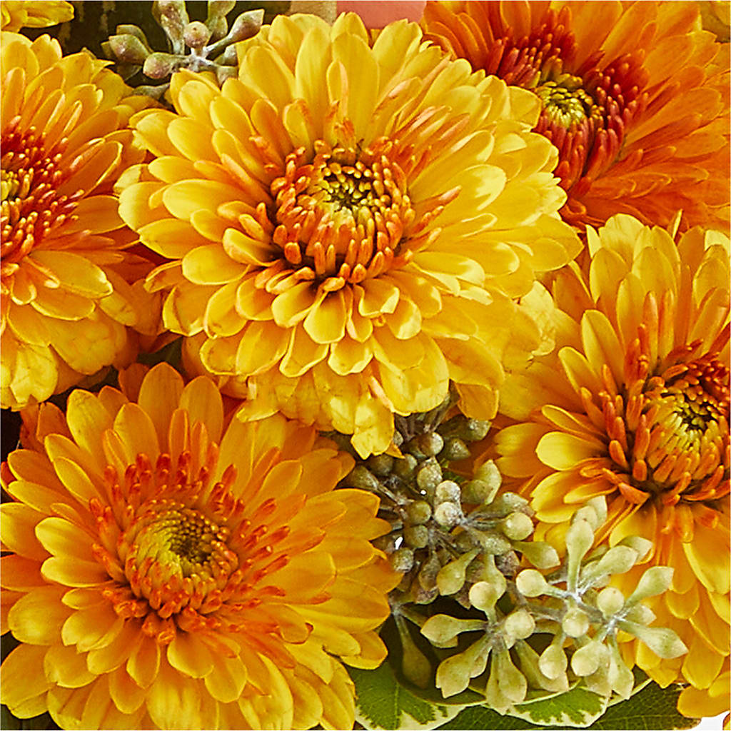 Peachy Pumpkin – FLORAL CREATIONS & GIFTS, Weslaco TX