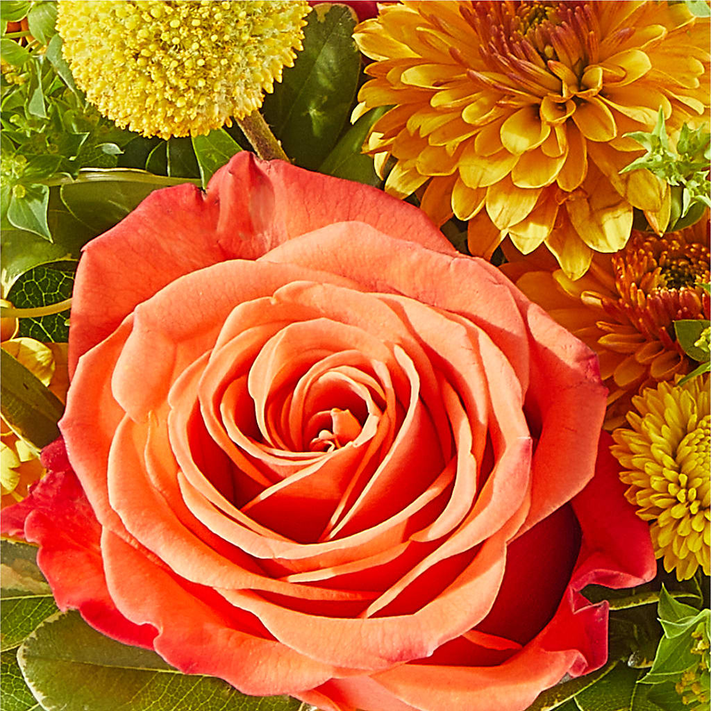 Gourdgeous Pumpkin – FLORAL CREATIONS & GIFTS, Weslaco TX