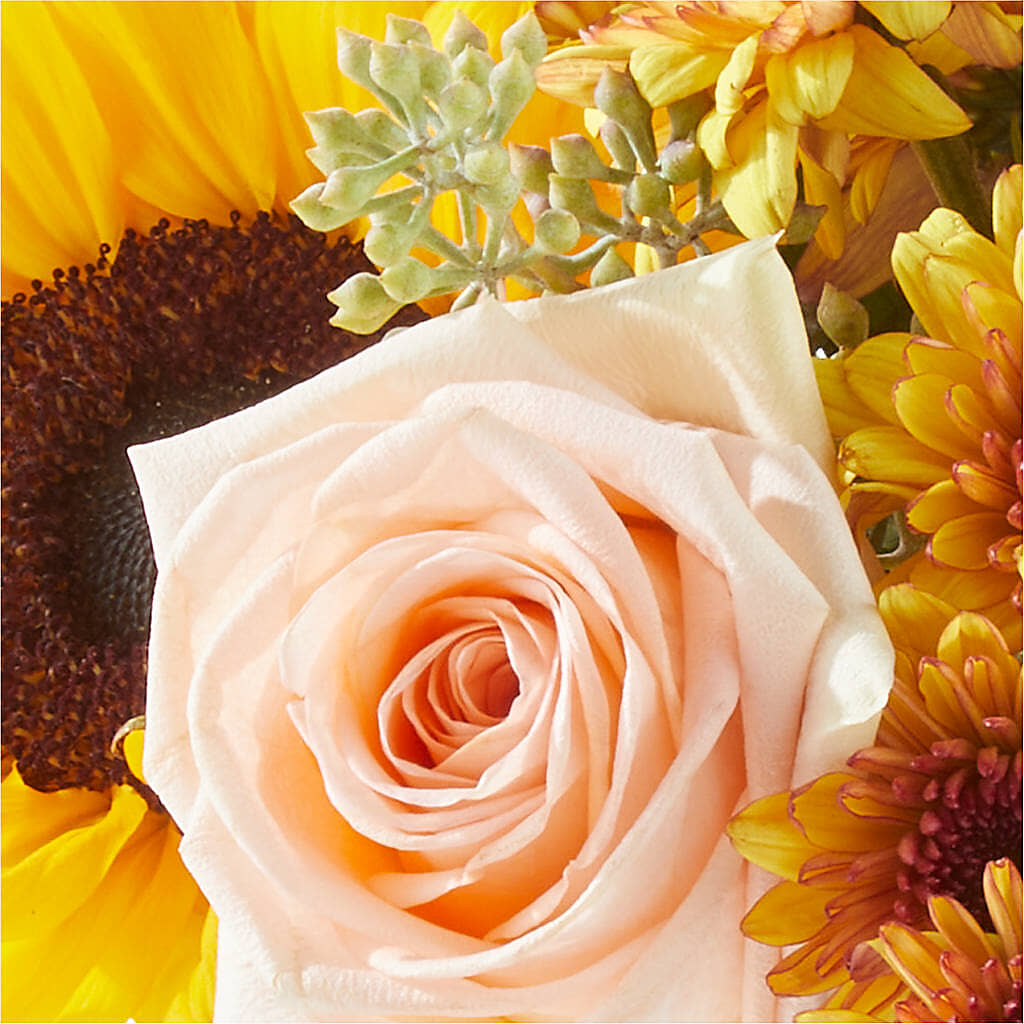 Pumpkin to Talk About Bouquet – FLORAL CREATIONS & GIFTS, Weslaco TX
