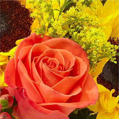 Pick of the Patch Pumpkin Bouquet – FLORAL CREATIONS & GIFTS, Weslaco TX