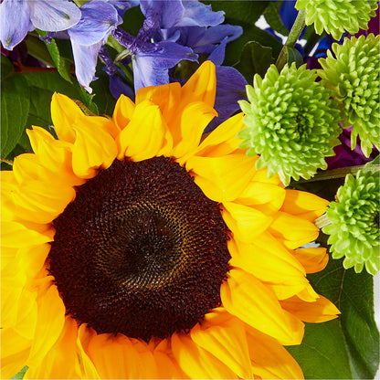Catching Rays Bouquet – FLORAL CREATIONS & GIFTS, Weslaco TX