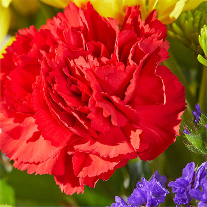 Brighter Days Bouquet – FLORAL CREATIONS & GIFTS, Weslaco TX