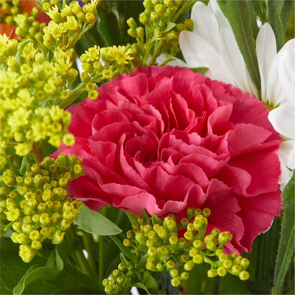 Oopsie Daisy Bouquet – FLORAL CREATIONS & GIFTS, Weslaco TX