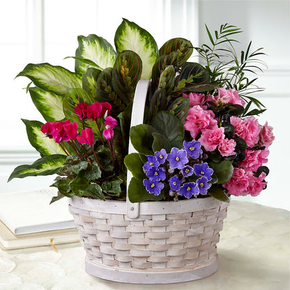 Peaceful Garden Planter – FLORAL CREATIONS & GIFTS, Weslaco TX