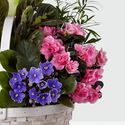 Peaceful Garden Planter – FLORAL CREATIONS & GIFTS, Weslaco TX