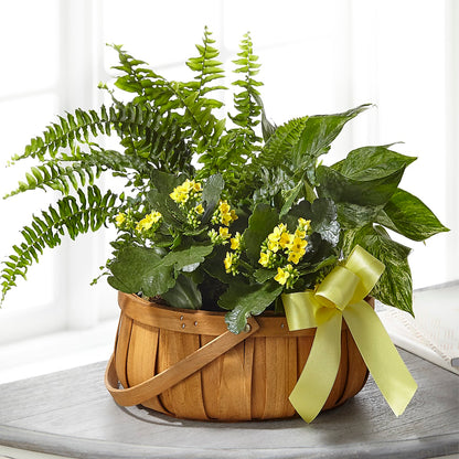 Always Dear Dishgarden – FLORAL CREATIONS & GIFTS, Weslaco TX