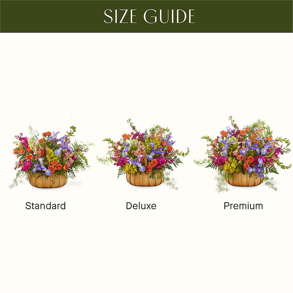 Garden of Life Basket – FLORAL CREATIONS & GIFTS, Weslaco TX