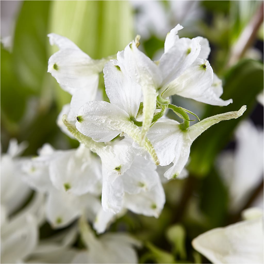 Classic Ivory – A Florist Original – FLORAL CREATIONS & GIFTS, Weslaco TX