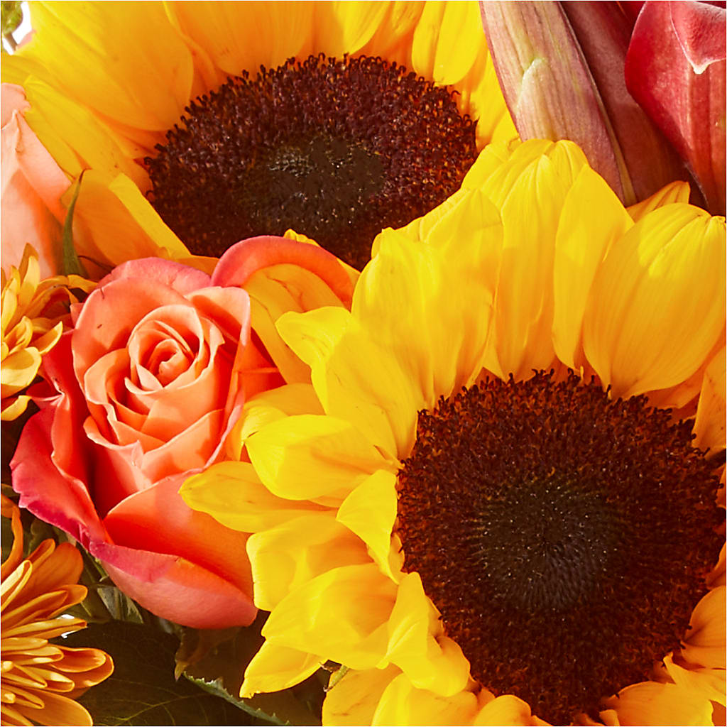 Acorn Lane Bouquet – FLORAL CREATIONS & GIFTS, Weslaco TX