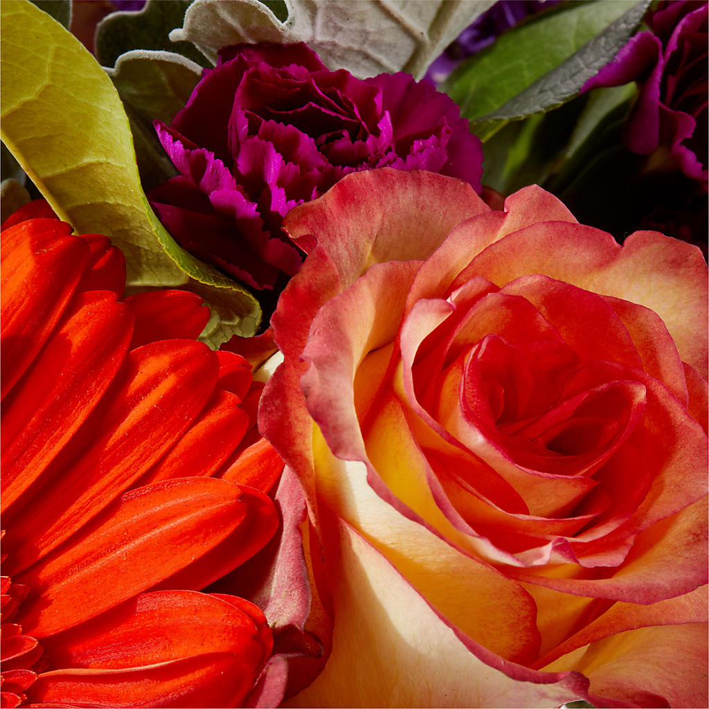 Sangria Bouquet – FLORAL CREATIONS & GIFTS, Weslaco TX