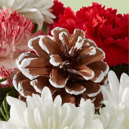 Candy Cane Lane Bouquet – FLORAL CREATIONS & GIFTS, Weslaco TX
