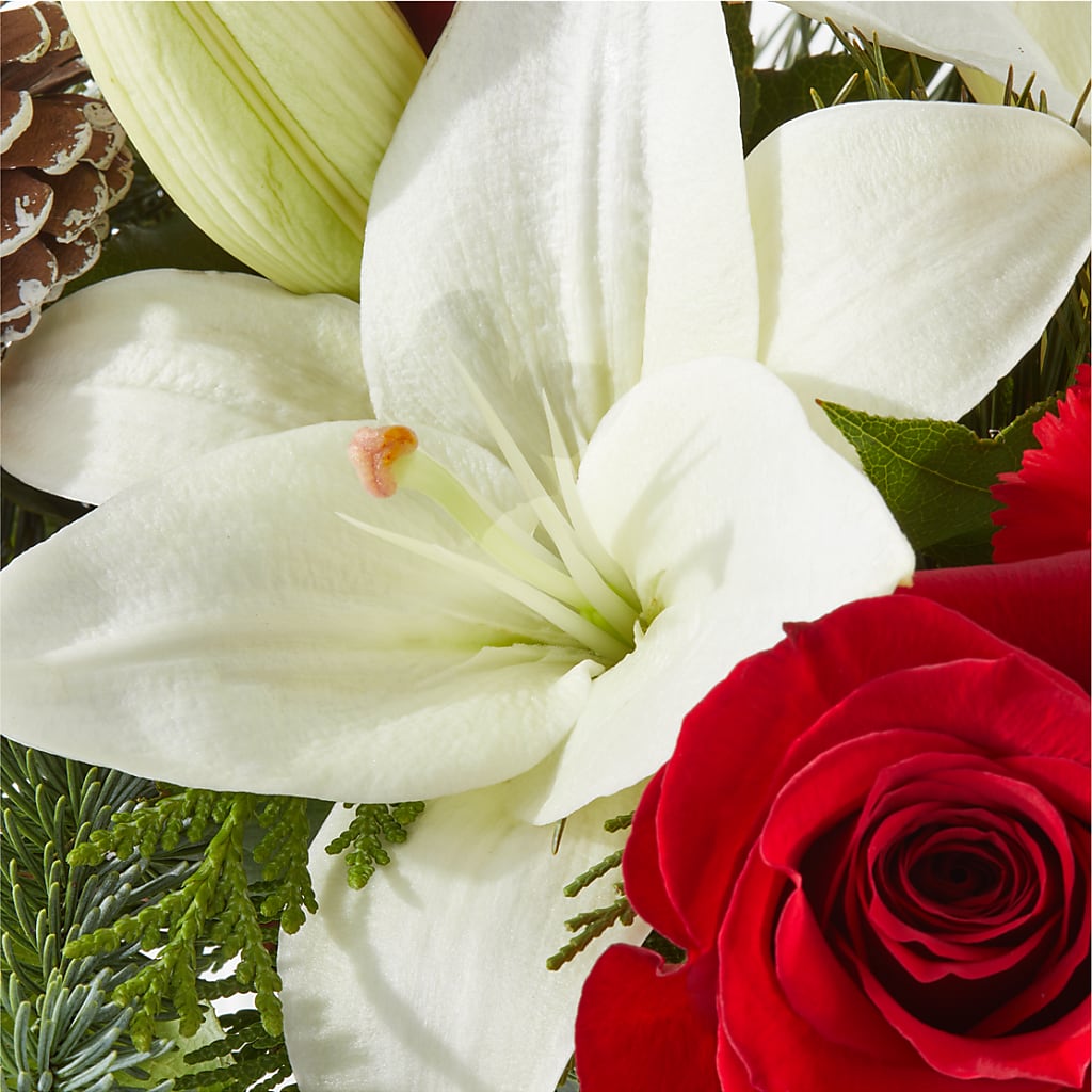 Oh So Jolly Bouquet – FLORAL CREATIONS & GIFTS, Weslaco TX