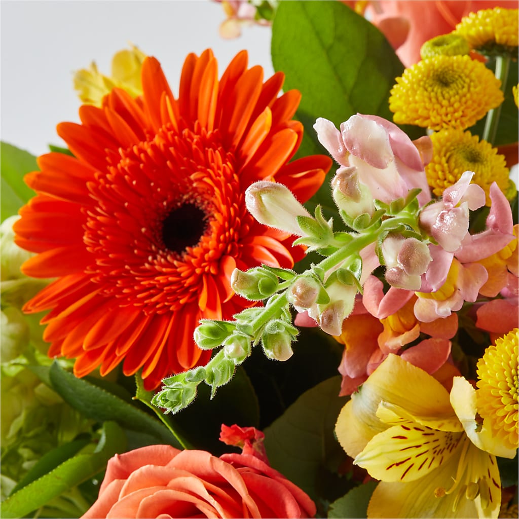 Autumn Sunshine Bouquet – FLORAL CREATIONS & GIFTS, Weslaco TX