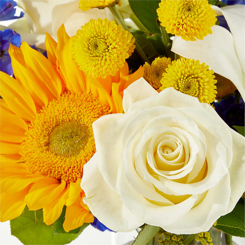 Stargazing Bouquet – FLORAL CREATIONS & GIFTS, Weslaco TX