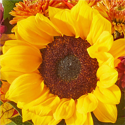 Sunny Side Bouquet – FLORAL CREATIONS & GIFTS, Weslaco TX