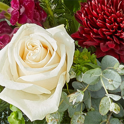 Cranberry Fizz Bouquet – FLORAL CREATIONS & GIFTS, Weslaco TX