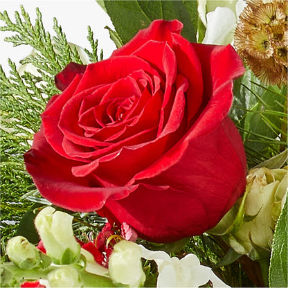 Deck the Halls Bouquet – FLORAL CREATIONS & GIFTS, Weslaco TX
