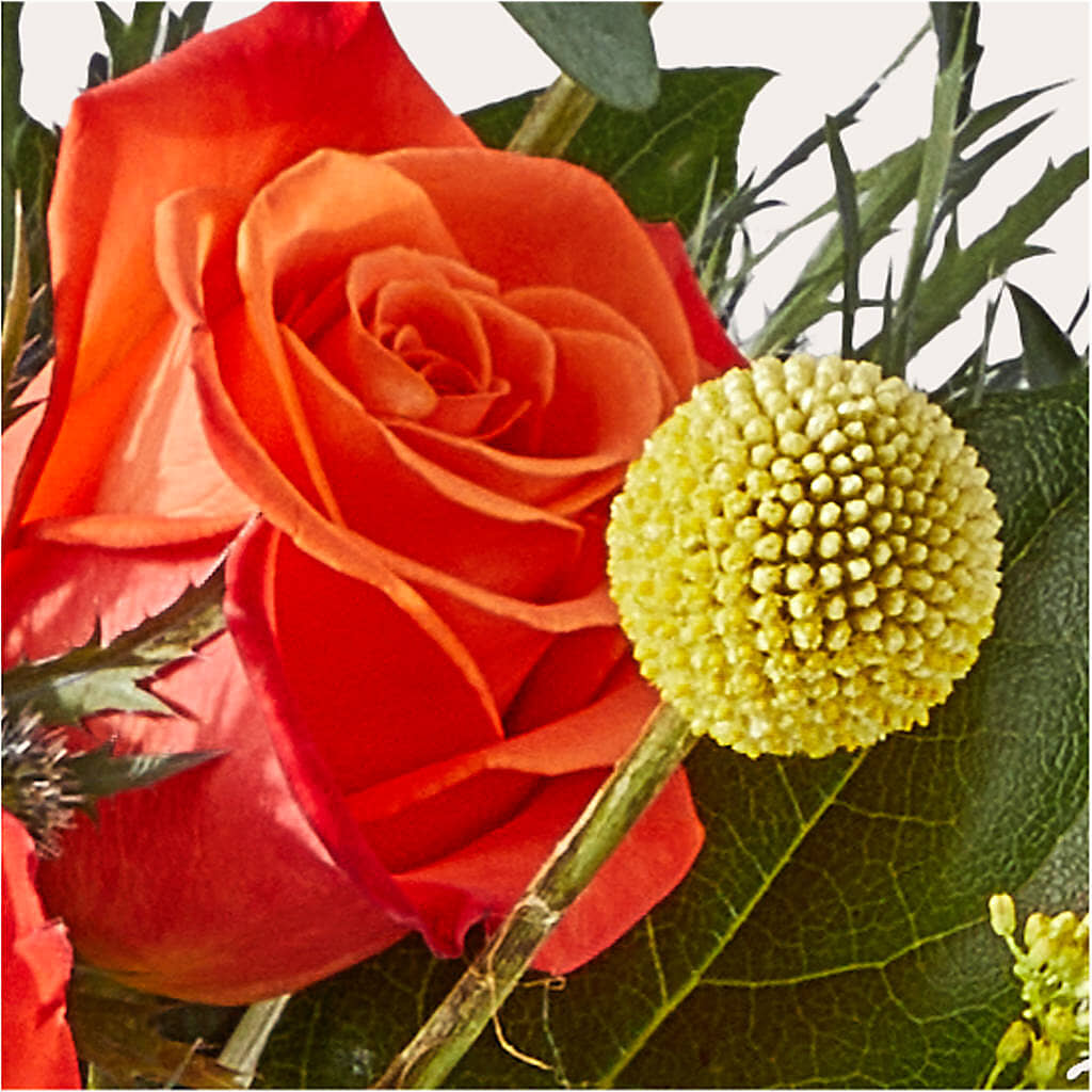 Disco Bouquet – FLORAL CREATIONS & GIFTS, Weslaco TX