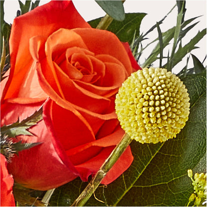 Disco Bouquet – FLORAL CREATIONS & GIFTS, Weslaco TX