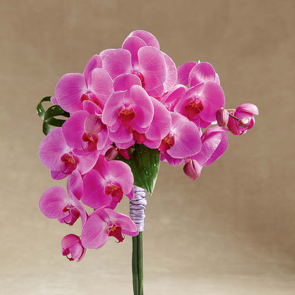 Glorious Bouquet – FLORAL CREATIONS & GIFTS, Weslaco TX
