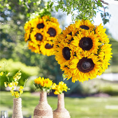 Sublime Garden Hanging Arrangement – FLORAL CREATIONS & GIFTS, Weslaco TX