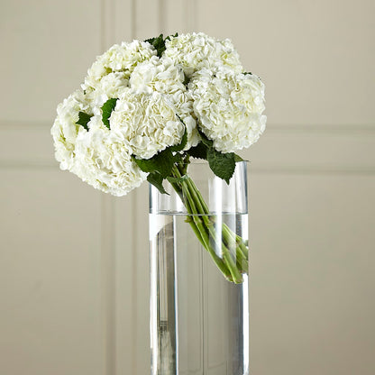 White Hydrangea Hand-Tied Bouquet – FLORAL CREATIONS & GIFTS, Weslaco TX