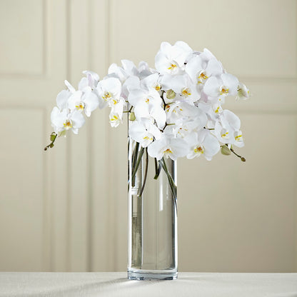 White Phalaenopsis Bouquet – FLORAL CREATIONS & GIFTS, Weslaco TX