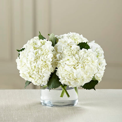 White Hydrangea Bouquet – FLORAL CREATIONS & GIFTS, Weslaco TX